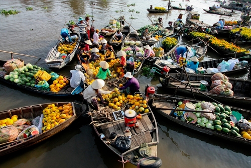  Mekong Delta – Authentic Experience